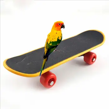 Игрушка Мини для волнистого попугая Пластиковый скейтборд Облегчение беспокойства Скейтборд Тренировка для волнистого попугайчика